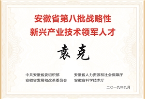 安徽省第八批战略性新兴产业领军人才