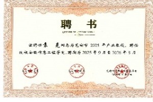 安徽信息工程学院产业教授