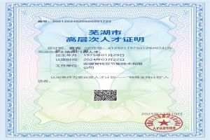 芜湖市高层次人才证明